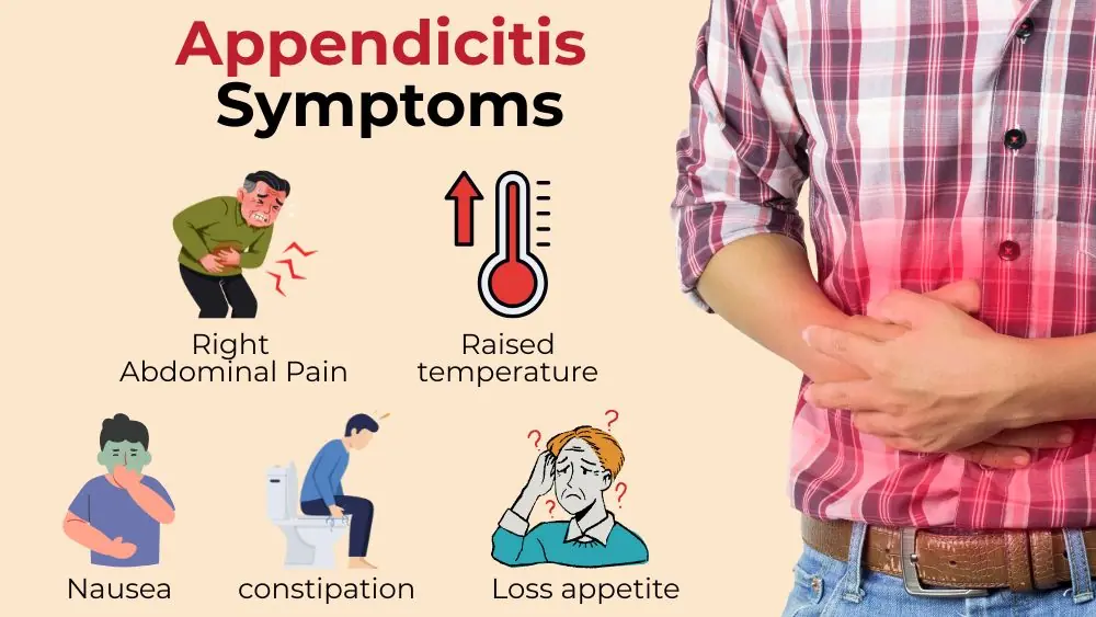 Can Stress Cause Appendicitis? Symptoms, Pain & Key Differences 2 Appendicitis Symptoms