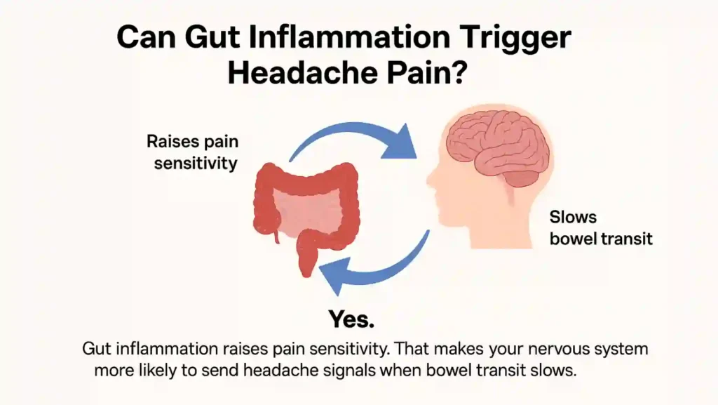 Can Gut Inflammation Trigger Headache Pain?