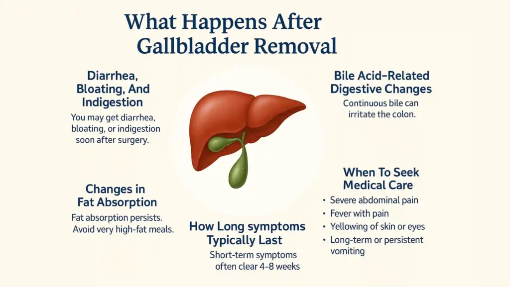Can You Live Without a Gallbladder? Effects, Recovery & Long-Term Health 3 what happens after gallbladder removal