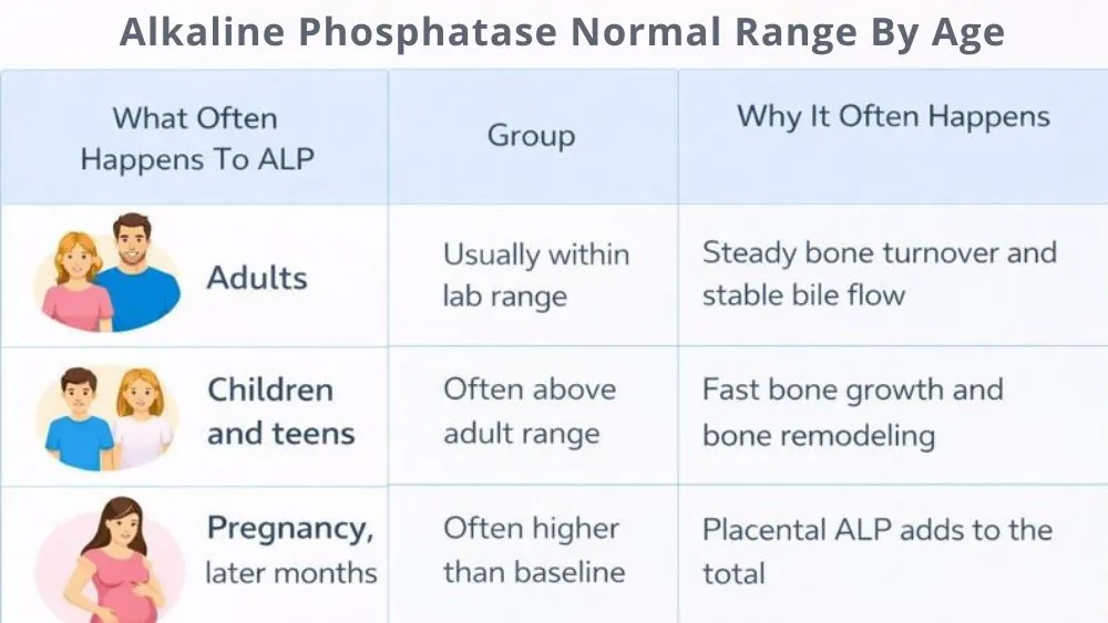 Alkaline Phosphatase Normal Range By Age