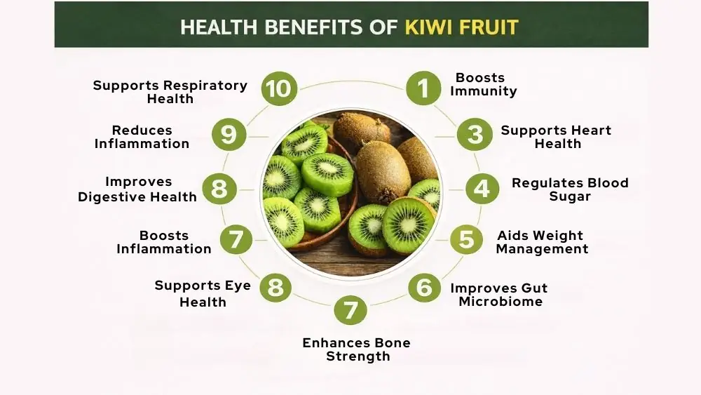 Benefits Of Kiwi: Nutrition, Health Benefits, And Uses 2 Health Benefits Of Kiwi Fruit