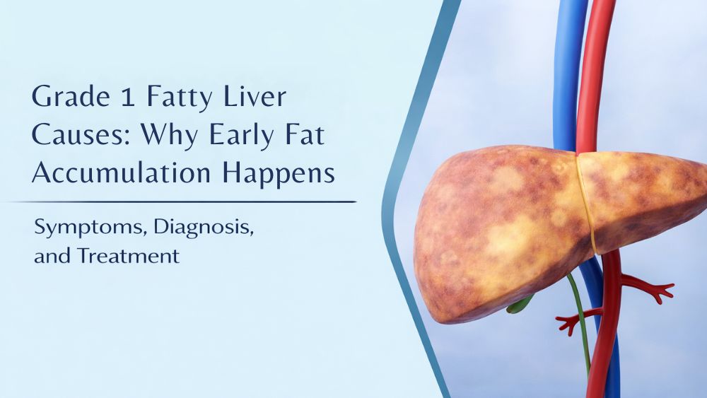 What Is Grade 1 Fatty Liver