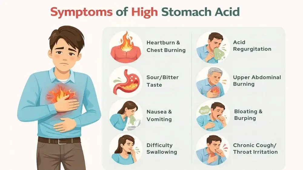 Symptoms of High Stomach Acid: Signs, Causes, and Relief 2 Symptoms of High Stomach Acid Levels