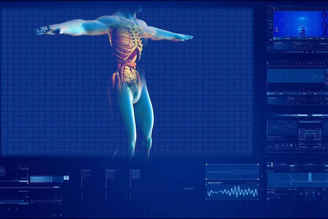 Everyday Stomach Issues: Common Digestive Problems in Daily Life, What diseases affect the digestive system? - Dr Nivedita Pandey