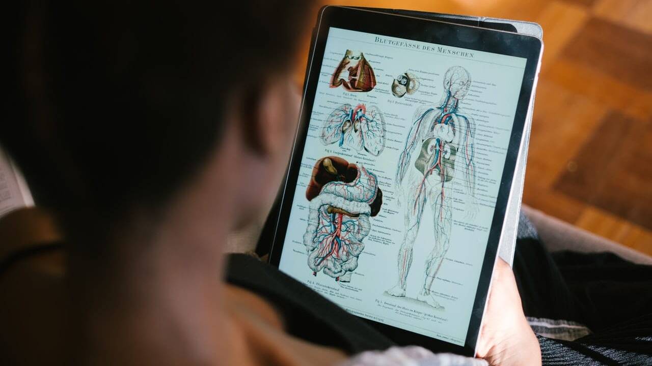 How Accessory Digestive Organs Disease Can Affect?