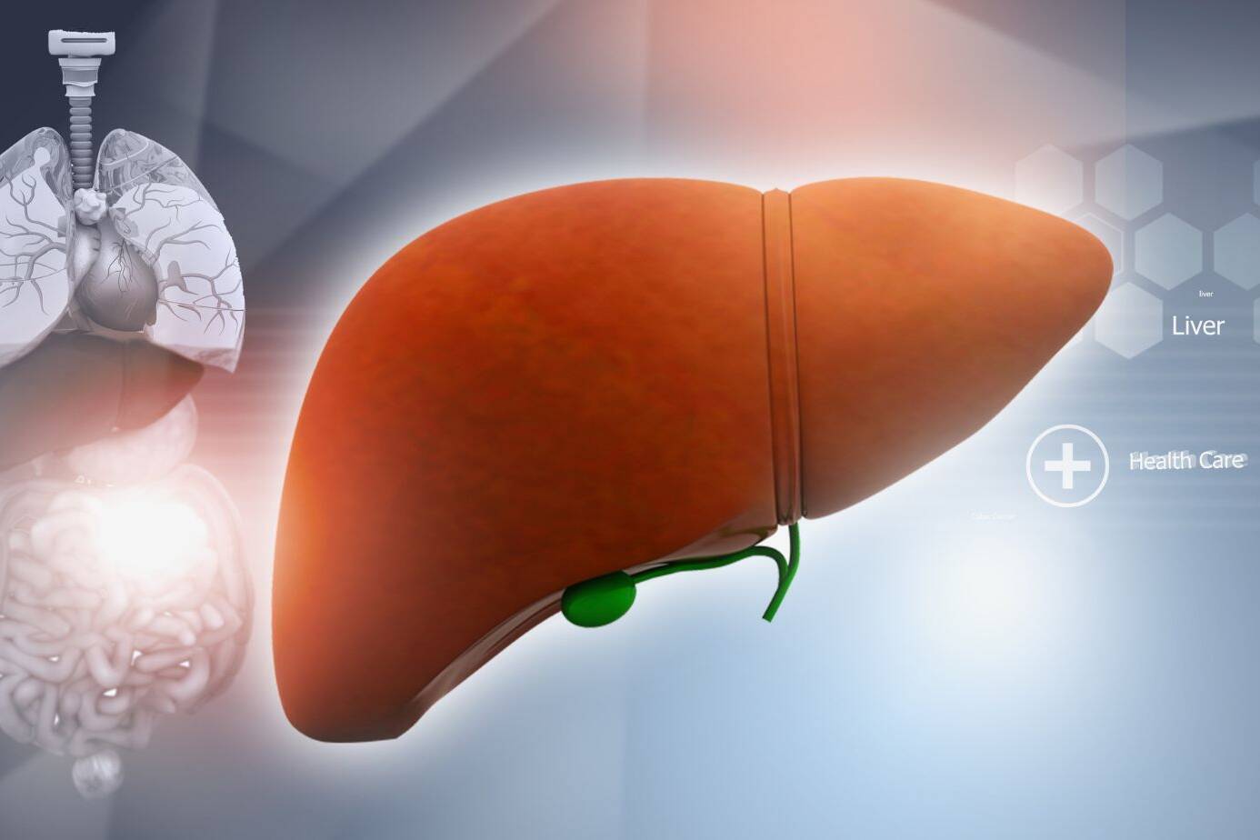 Case Study: Reversing Liver damage from fatty liver 16