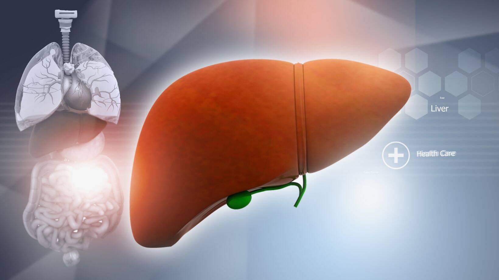 Case Study: Reversing Liver damage from fatty liver 12