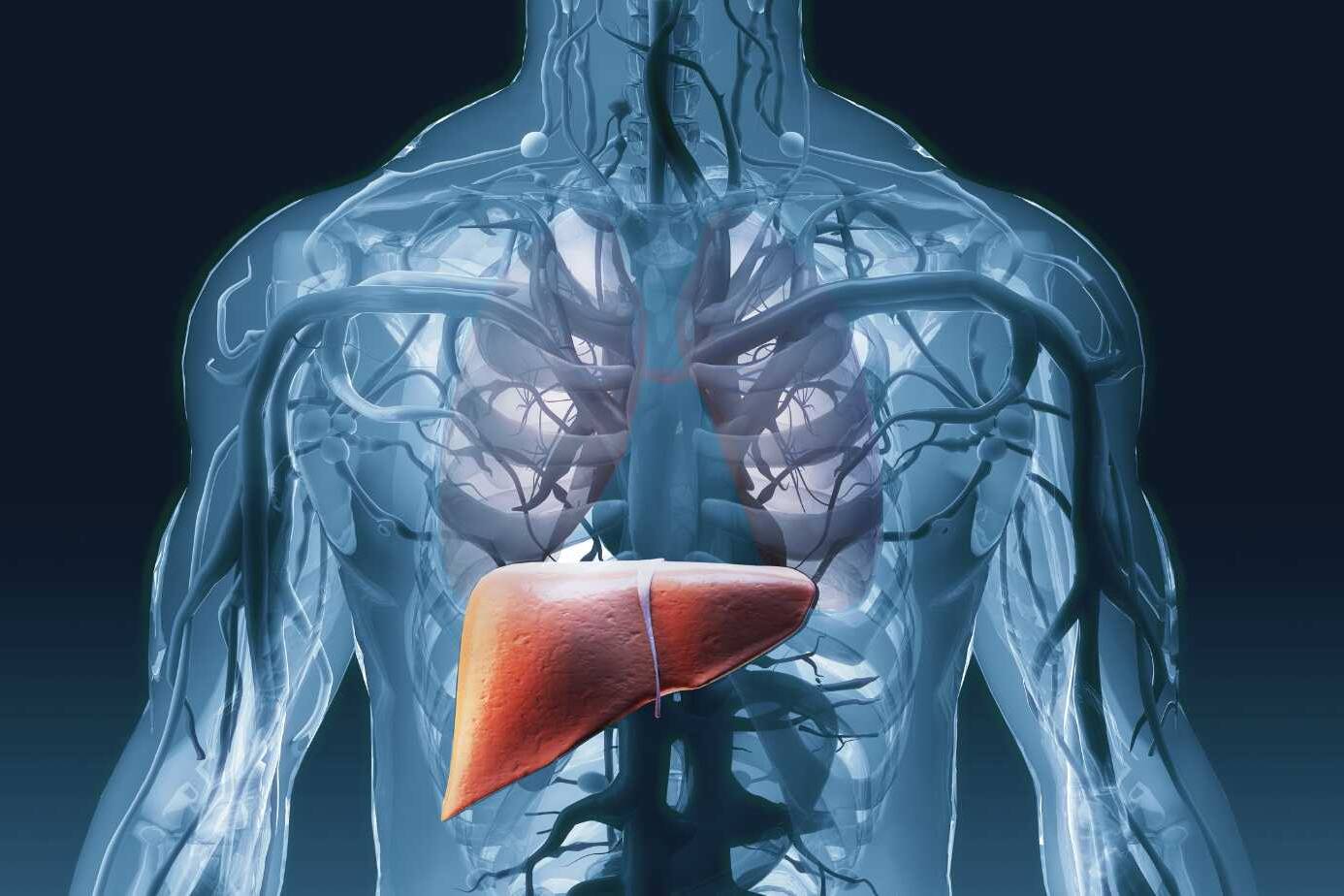 Liver Cirrhosis: Causes, Symptoms, and Treatment