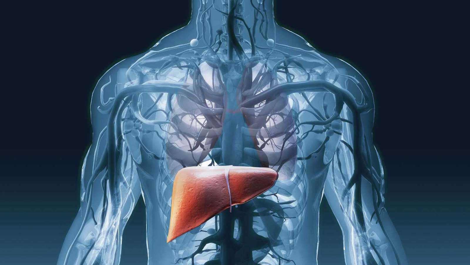 Liver Cirrhosis: Causes, Symptoms, and Treatment