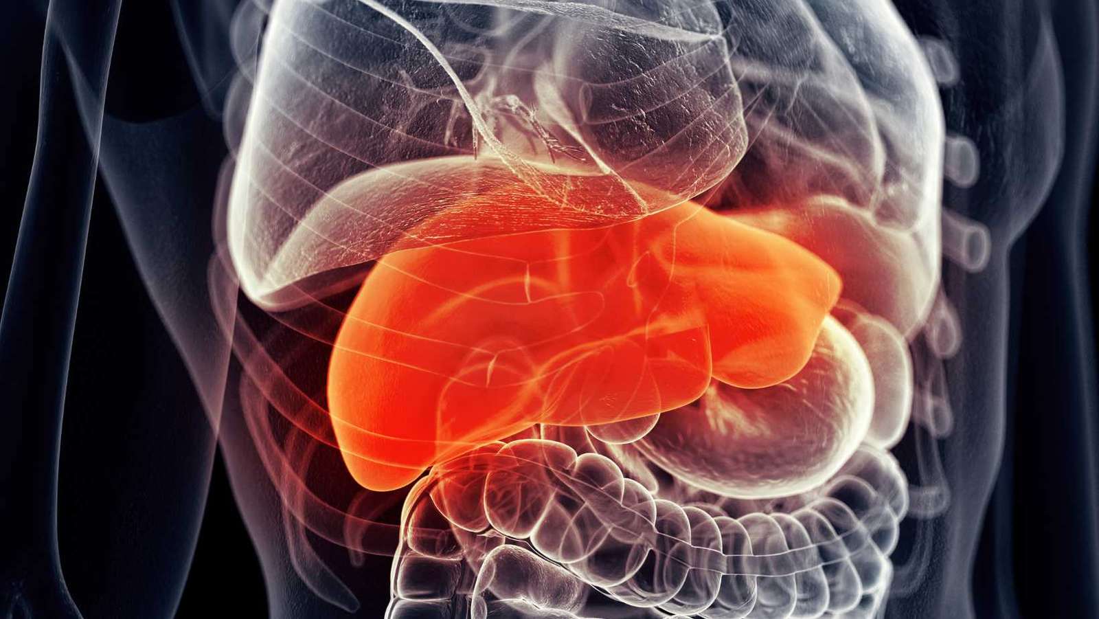 Understanding Liver Abscess Disease: Causes, Symptoms, and Treatment