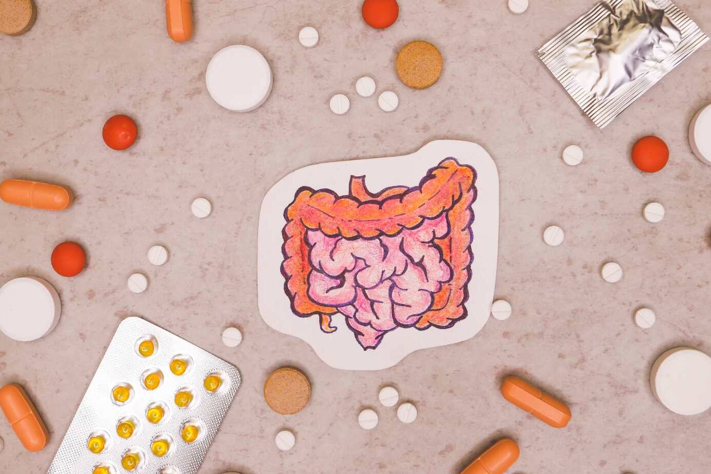 Discover How Probiotic for Digestive Health Improves Your Well-being 9 Probiotic For Digestive Health