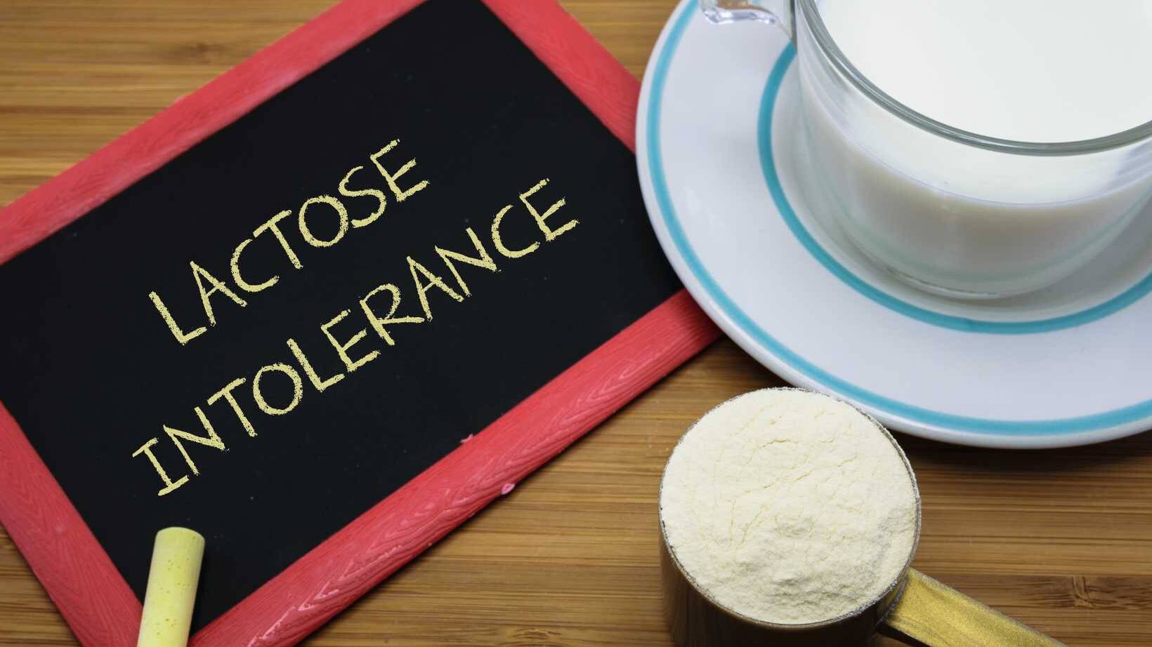 what is lactose intolerance