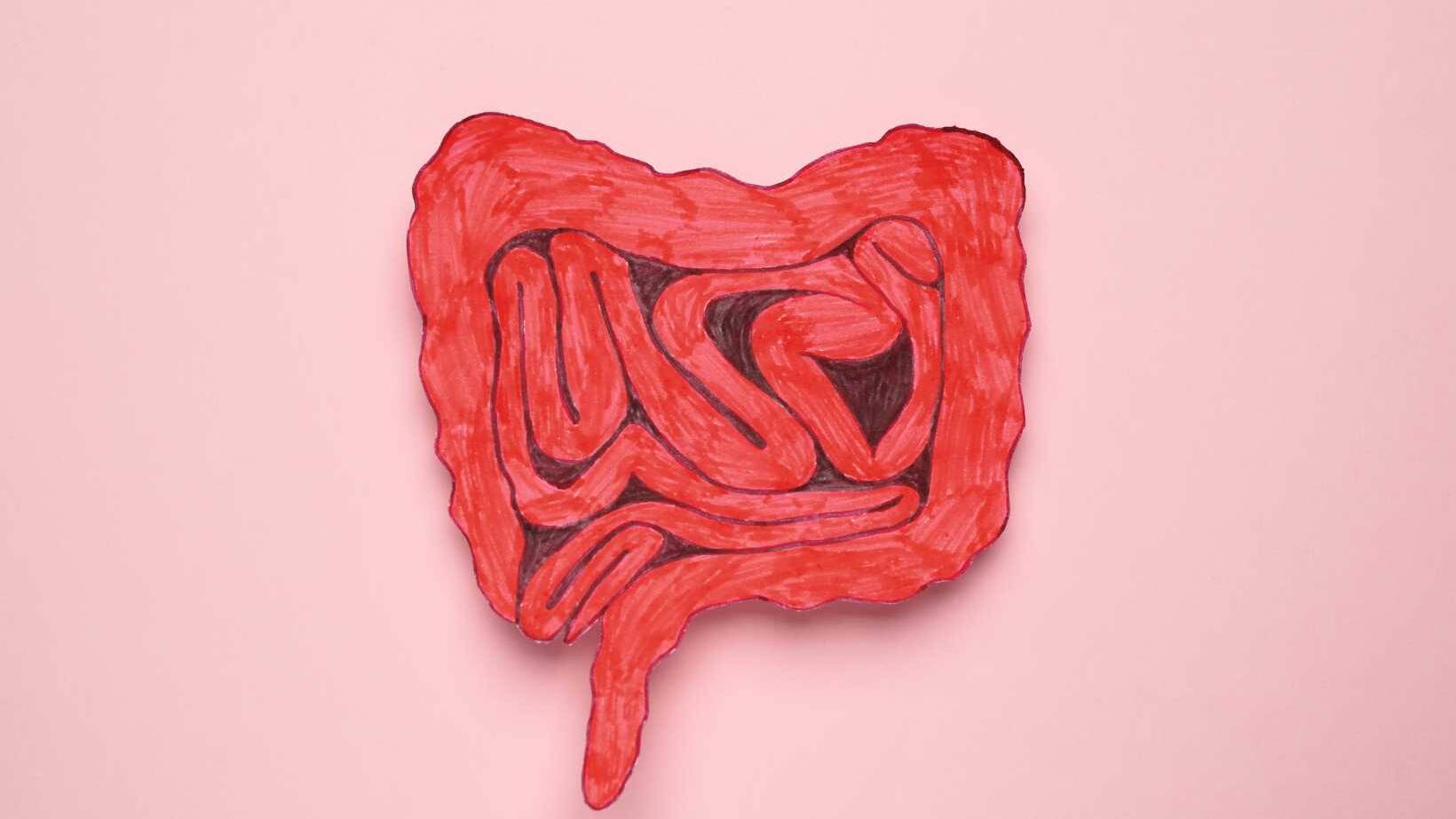 small bowel obstruction treatment