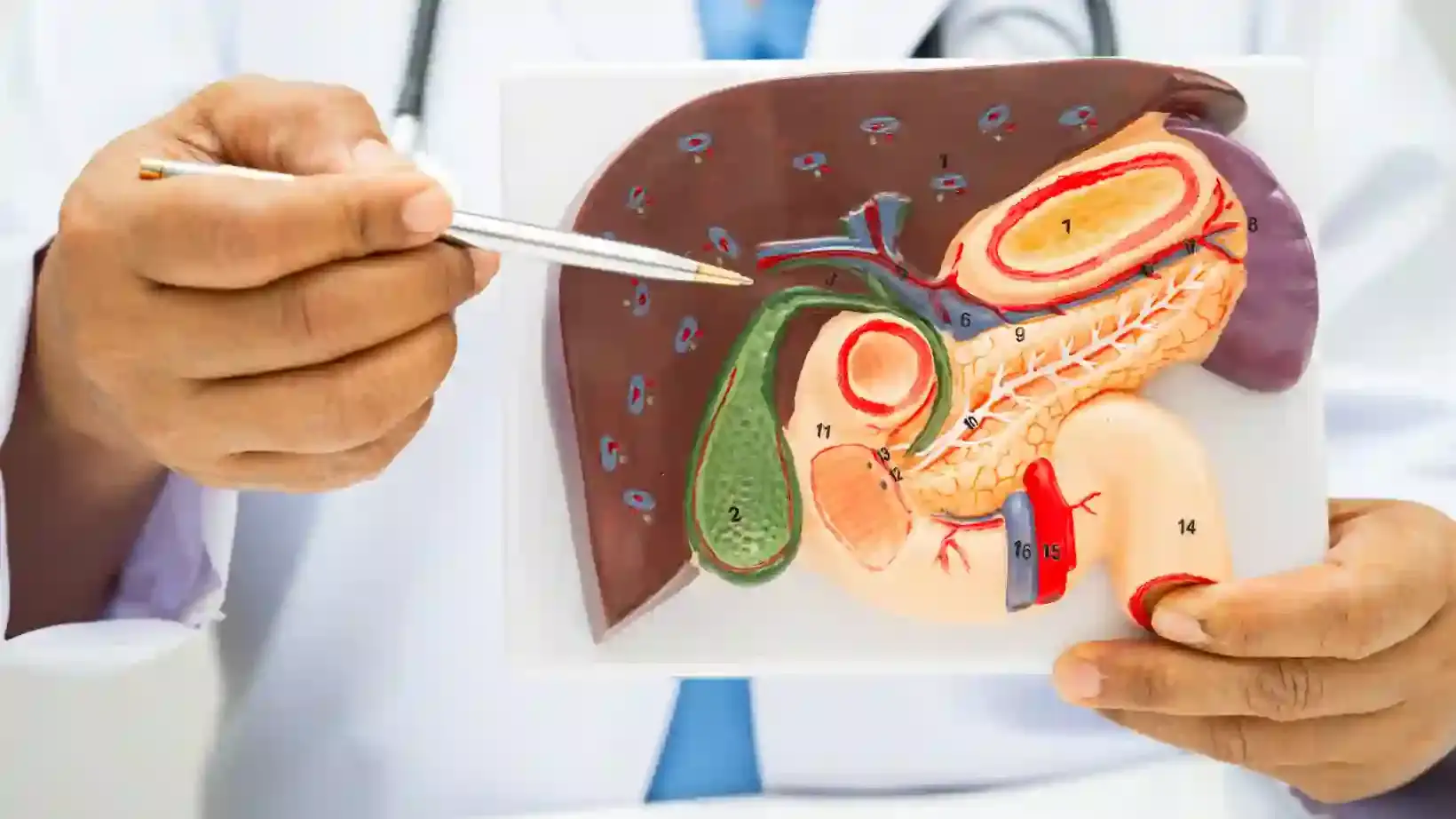 can you live without a gallbladder