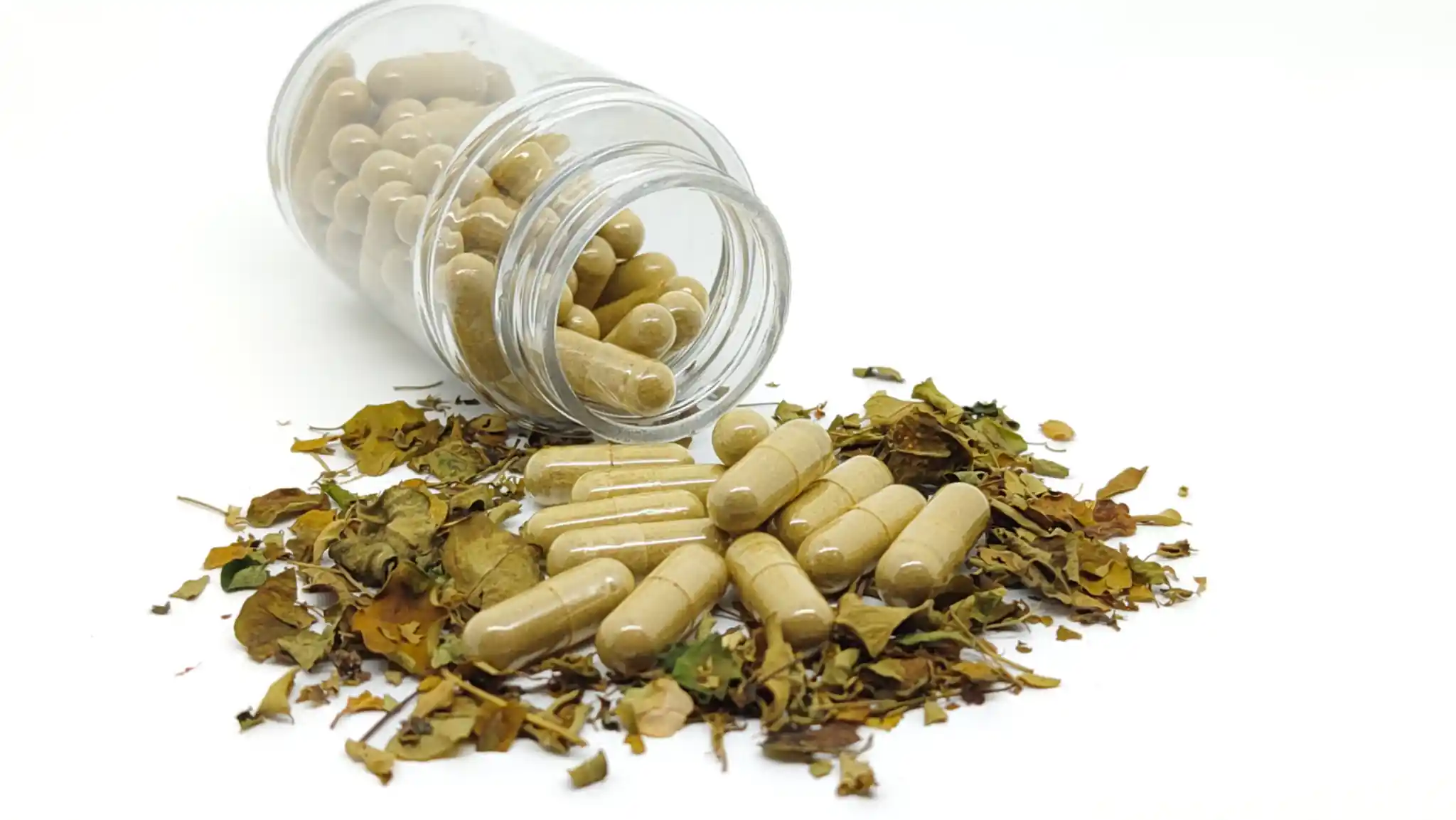 Best Supplements for Fatty Liver Disease: Benefits and Risks 15 best supplements for fatty liver