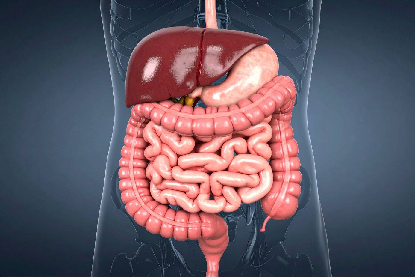 Detox Trends & Gut Health
