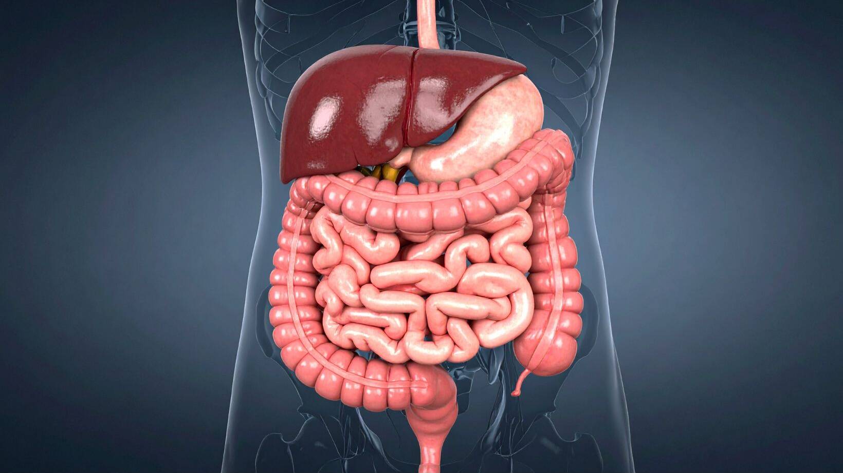 Detox Trends & Gut Health